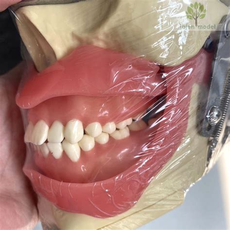 Conduction Anesthesia 的图像结果