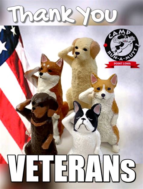 #veteransday2022 | Camp Run-A-Mutt Point Loma