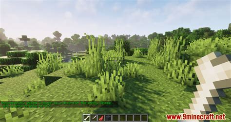 How to Get Random Drop Mod in Java 的图像结果