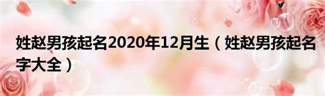 姓赵男孩起名2020年12月生（姓赵男孩起名字大全）_城市经济网