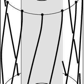 Image result for Basic Annular Element