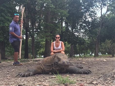 EXCELLENT KOMODO TOURS - All You Need to Know BEFORE You Go 2026 (with ...