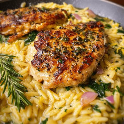 Best Lemon Garlic Chicken and Orzo Recipe
