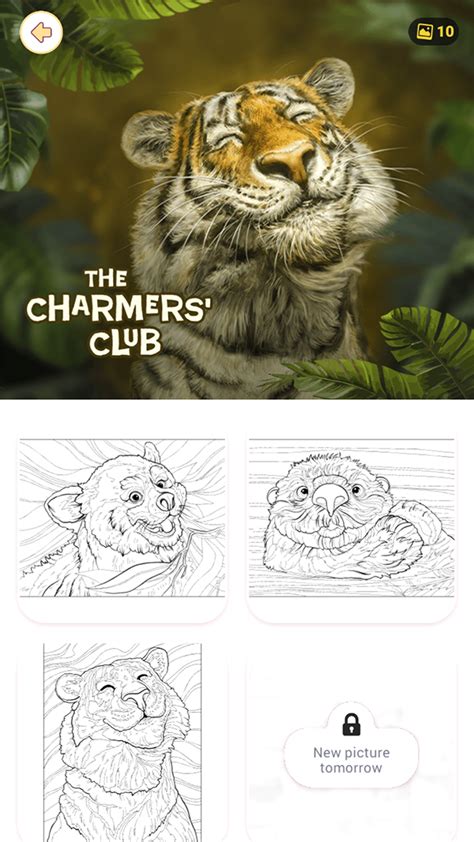 Color-Happy App for Computer 的图像结果