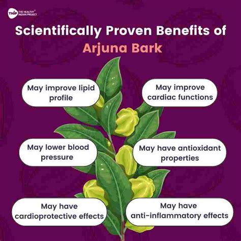 What are arjuna bark benefits?- THIP Media