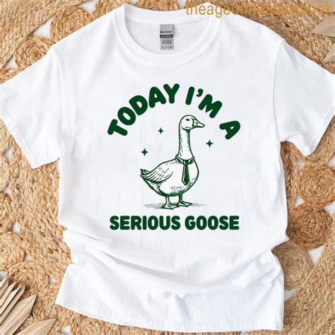 Silly Goose Funny Meme T-shirt