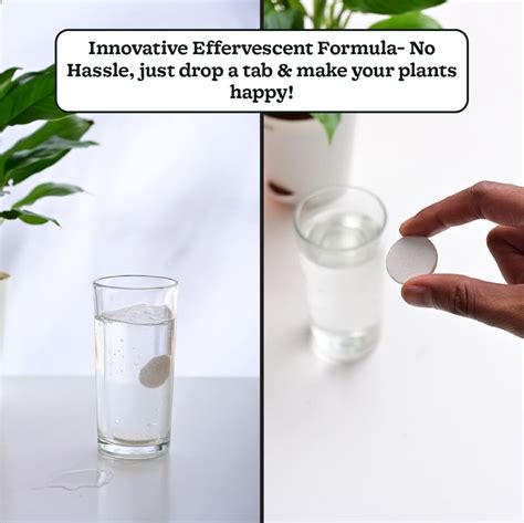 Grow TAB Fertilizers: Water Soluble Micro-nutrient Tablets for Plants ...