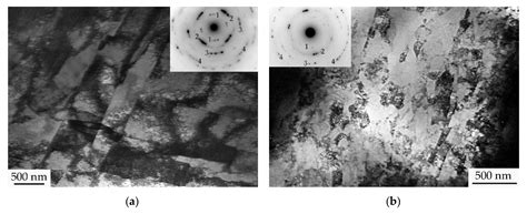Structural Defects in TiNi-Based Alloys after Warm ECAP