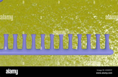 Image result for DNA Replication Process Animation