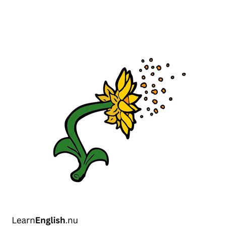 Plant Names In Spanish: A Beginner's Guide - learn spanish