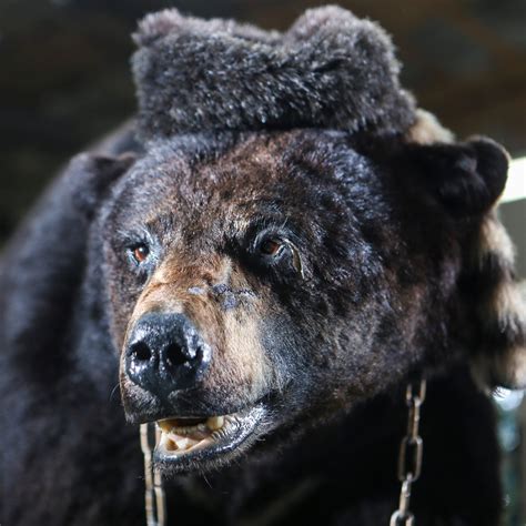 랜덤다이스 크랙! 이 게임 체험에 Kgpt-3™으로 ~ 세계적인 Ctr을 경험해보세요!