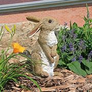 Image result for Wild Rabbit Sculpture