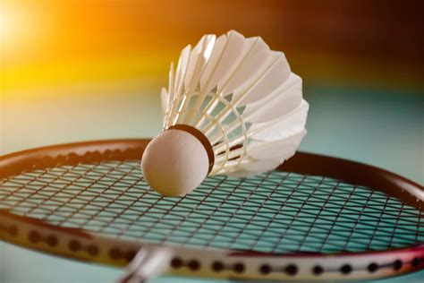 Badminton Theme 的图像结果