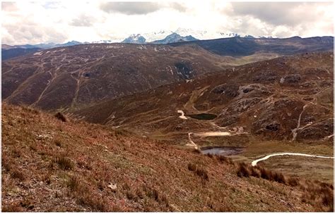 Floristic Diversity, Indicator and Suitable Species for Andean ...