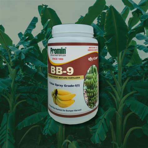 Promin - Micronutrient People