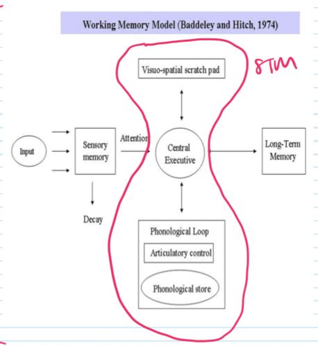 Image result for Inside Out and Working Memory Model