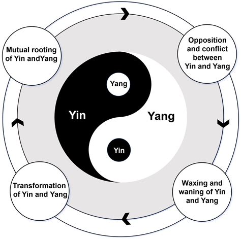 Frontiers | East meets west: integrating Yin-Yang theory with immunology teaching