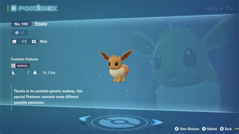 Pokémon Legends Z-A Eevee Location | VGC