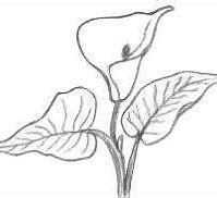 technical drawing building plan