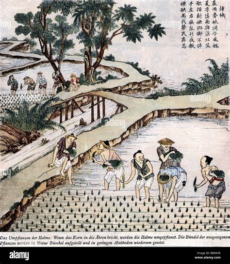 Ancient China Geography And Agriculture at Andy Summer blog