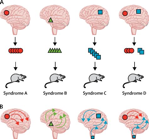 The prion model for progression and diversity of neurodegenerative ...