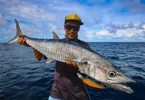 Spanish Mackerel Spanish Mackerel (Batang) 巴当鱼 Seafood Lobang