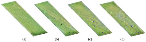 Cuscuta spp. Segmentation Based on Unmanned Aerial Vehicles (UAVs) and ...