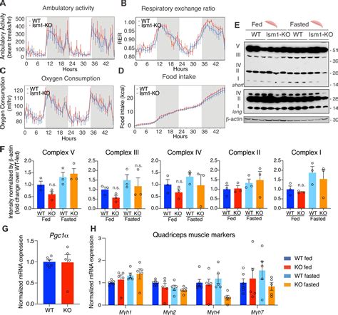 Phosphoproteomic mapping reveals distinct signaling actions and ...