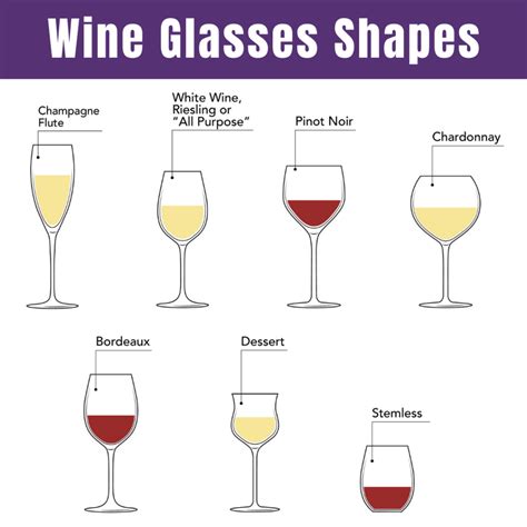 A Comprehensive Guide to Different Types of Wine Glasses - From The Vine