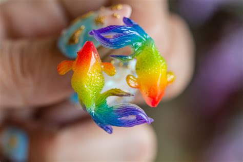 Real Rainbow Fish