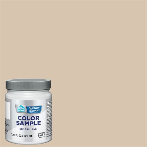 HGTV HOME by Sherwin-Williams Kilim Beige HGSW3147 Paint sample ( Half ...