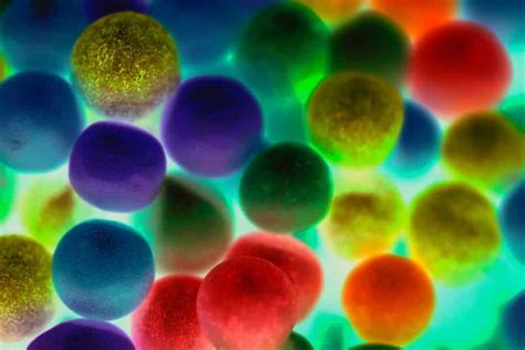 Cell Fluorescence 的图像结果