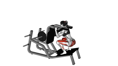 Lever Reverse Vertical Hack Squat (Female) - Exercise Guide & Tips