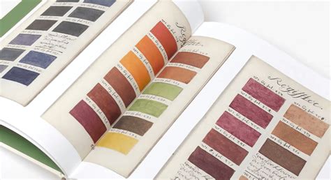 Best Color Theory Books for Artists and Designers - Top Choice 2024