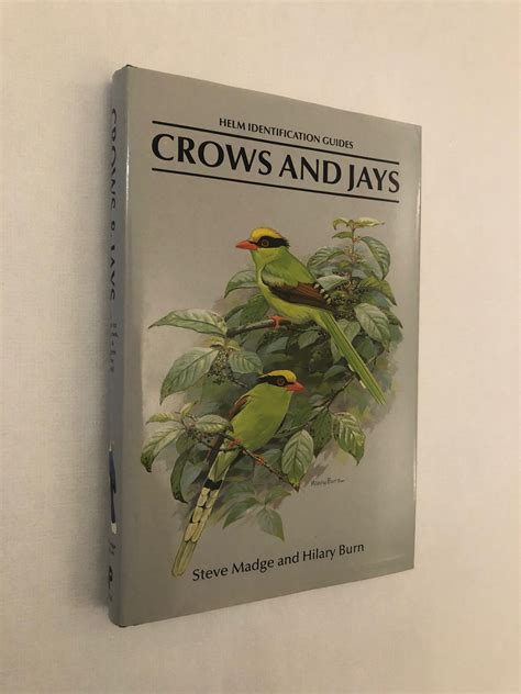 Helm Identification Guides: Crows and Jays: a Guide to the Crows, Jays ...