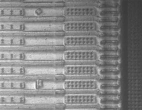 Camera Sensor Under Microscope 的图像结果