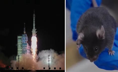 चीन का अंतरिक्ष मिशन...स्‍पेस पर गया सबसे कम उम्र का यात्री, साथ में 4 ...