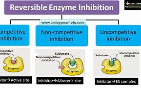 Image result for Inhibitory Effect