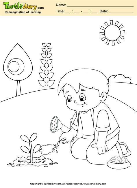 Grow Plant Coloring Sheet | Turtle Diary