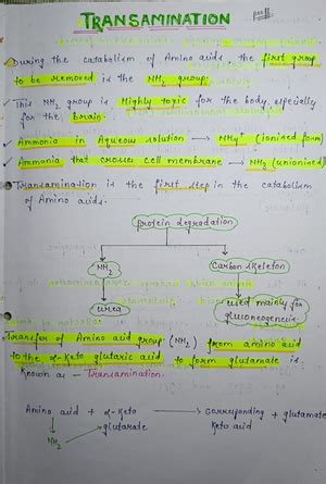 Wald's visual cycle - Subject- MBBS handwritten notes Written language ...