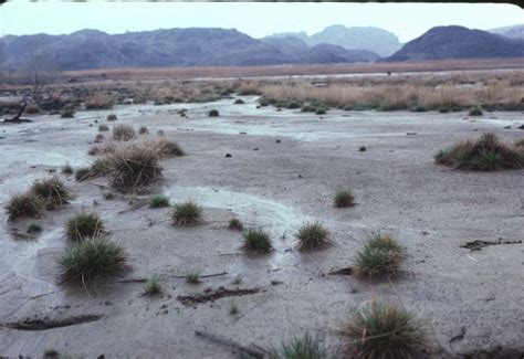 Evolution Environmental Science 的图像结果