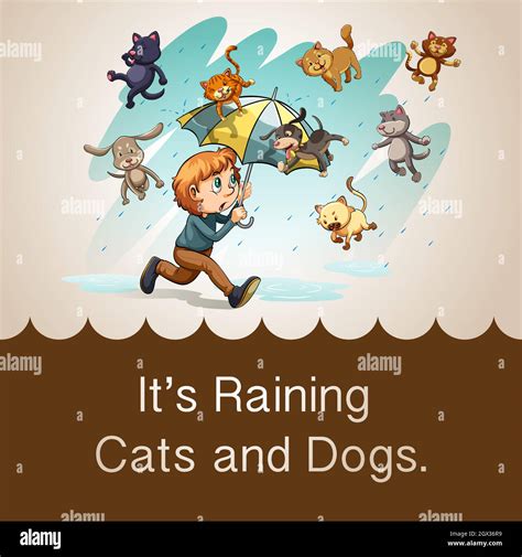 Raining cats and dogs hi-res stock photography and images - Alamy