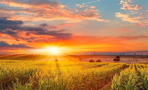 Humid 的图像结果