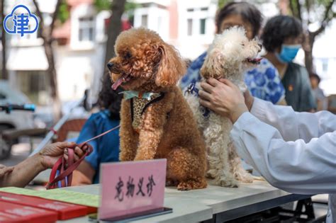 北京亦庄镇文明养狗宣教活动发放拴狗绳，让宠物与居民平安相处 | 北晚新视觉