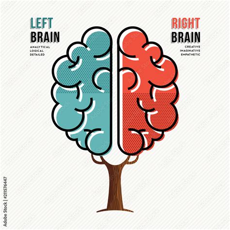 Left Right Hemisphere 的图像结果