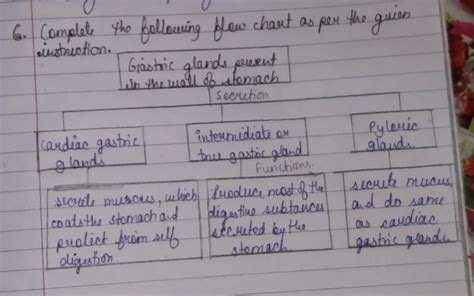 9. Complete the following flow chart as per the given instructions ...