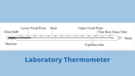 How Does A Thermometer Work