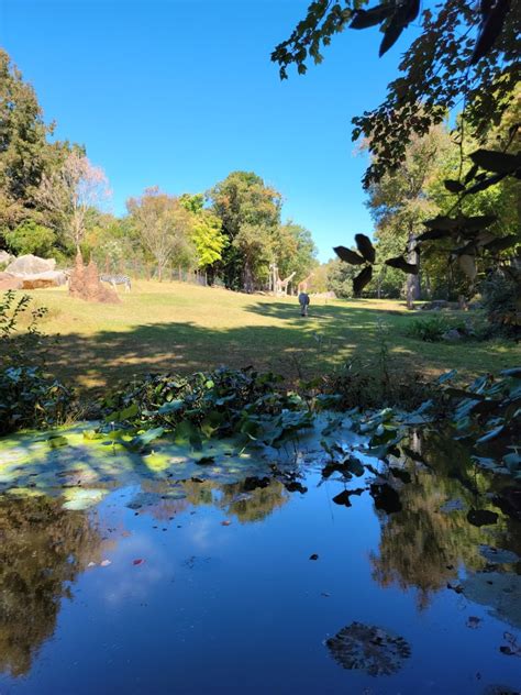 North Carolina Zoo, Asheboro, NC: Information, Tickets and Reviews
