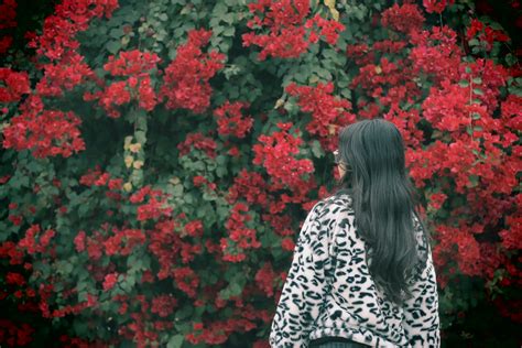 Image result for Spring Java Portrait