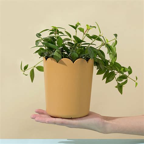 Special Offer! Ywbawe Petals Mouth Resin Flower Pot with Bottom Drag, Thickened Plastic Frosted ...